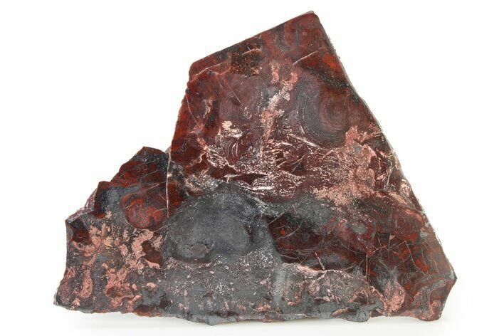 Polished Stromatolite (Collenia) Slab - Minnesota #326058